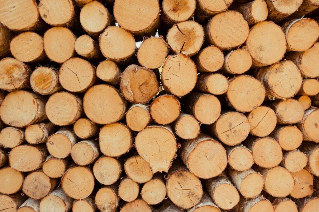 Holtim - kennis van hout